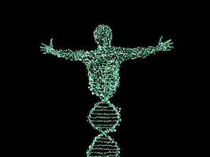 dna 在线观看,在线观看揭示生命密码之旅  第3张 dna 在线观看,在线观看揭示生命密码之旅  第3张
